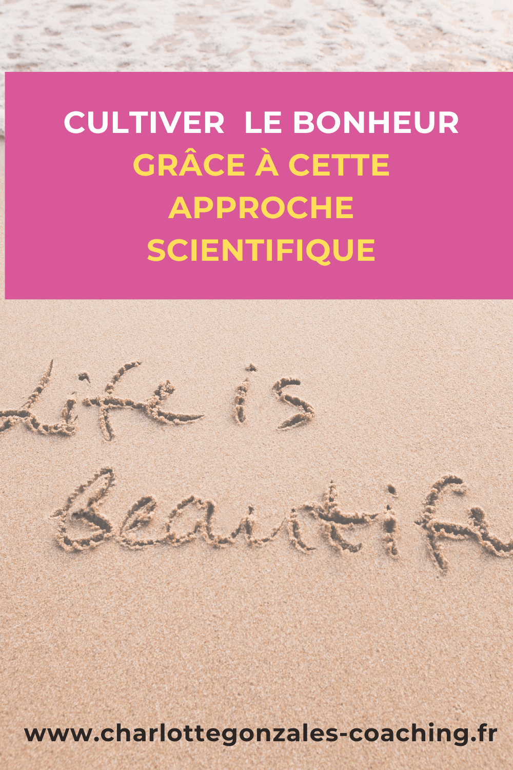 psychologie positive psychologie positive